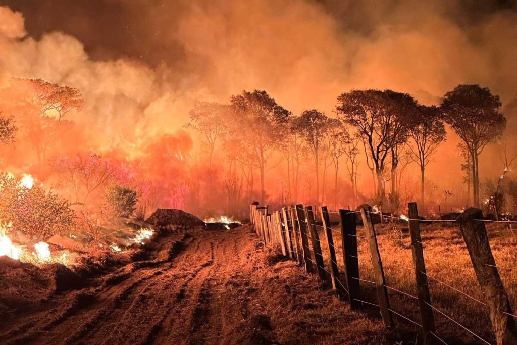  Incêndios Pantanal 